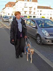 Voir la fiche du chien Irun : retraitée